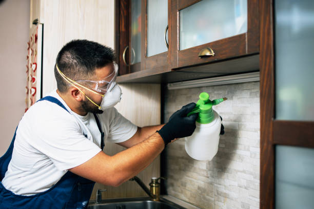 Best Emergency Pest Control  in Green, OH