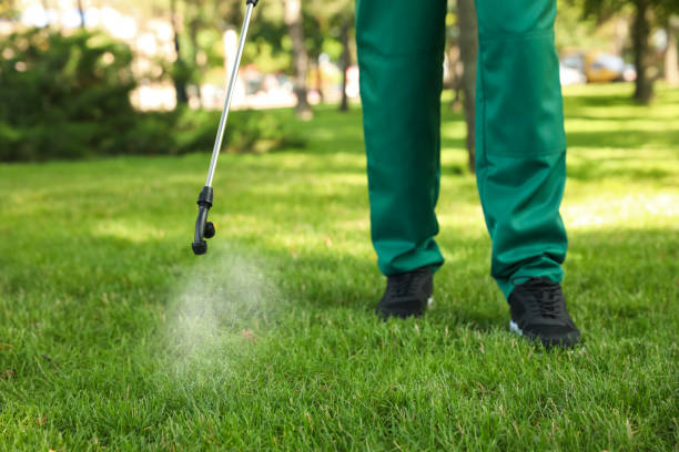 Pest Prevention Services in Green, OH