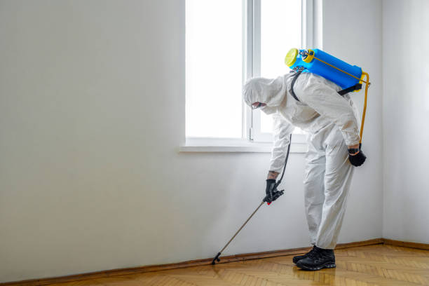 Pest Control Cost in Green, OH