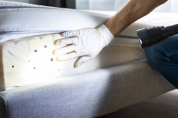 Best Cockroach Control Services  in Green, OH