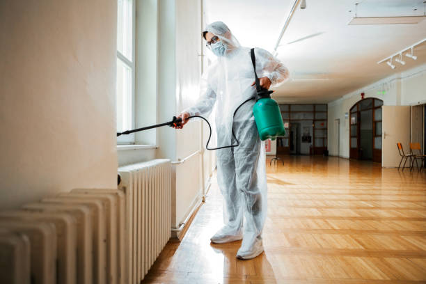 Best Local Pest Control Services  in Green, OH